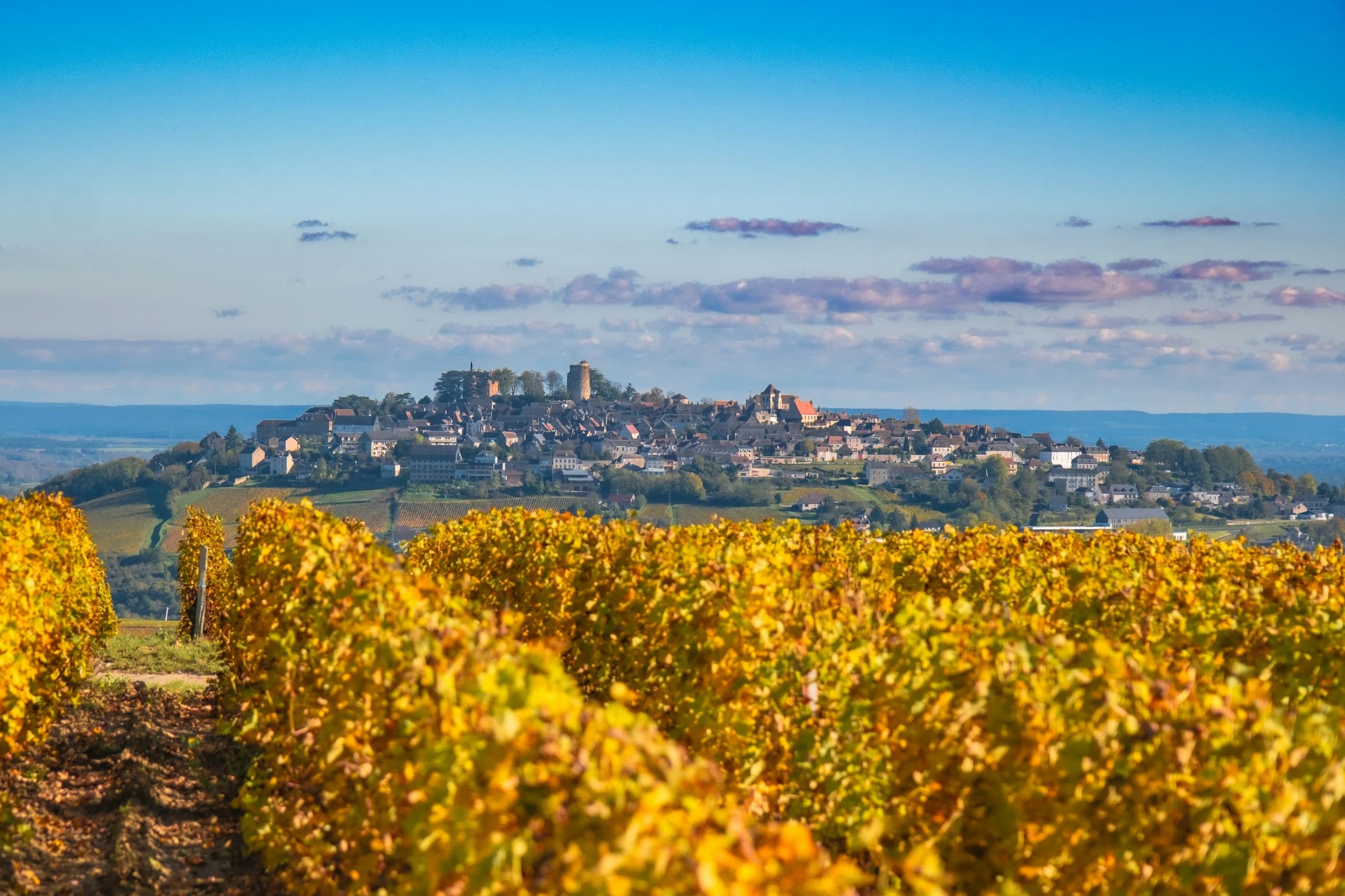 Le village de Sancerre sur sa colline, au-dessus des vignes dorées